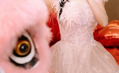 野花直播免费观看日本更新